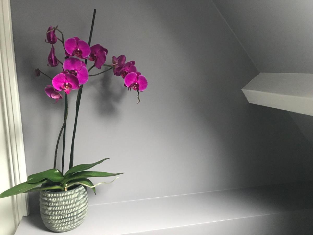 هارلم Bed And Breakfast The Rose المظهر الخارجي الصورة